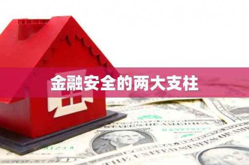 从化金融安全的两大支柱
