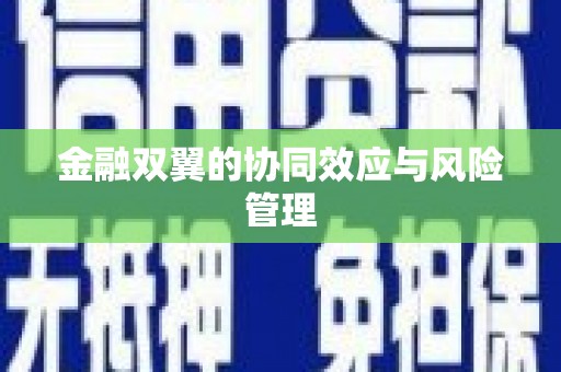 从化金融双翼的协同效应与风险管理