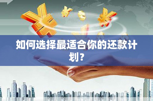 从化如何选择最适合你的还款计划？