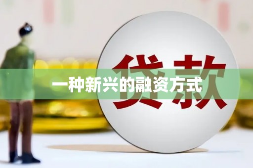 从化一种新兴的融资方式