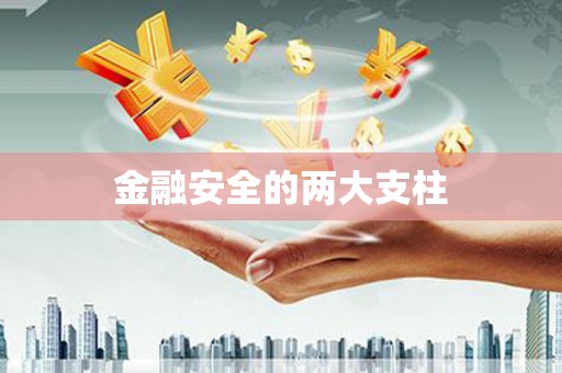 从化金融安全的两大支柱