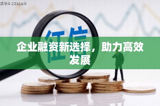从化企业融资新选择，助力高效发展