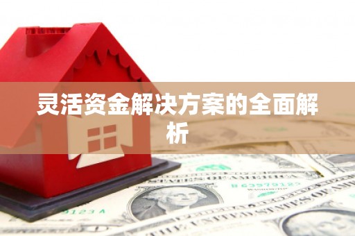从化灵活资金解决方案的全面解析