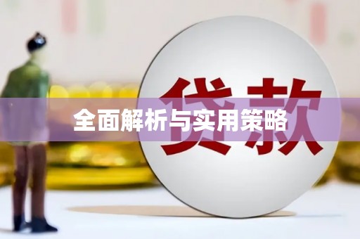 从化全面解析与实用策略