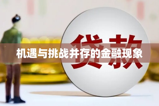 从化机遇与挑战并存的金融现象