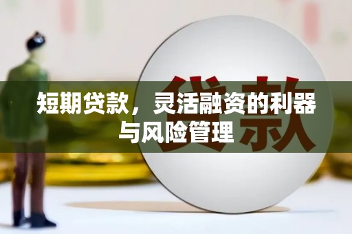 从化短期贷款，灵活融资的利器与风险管理