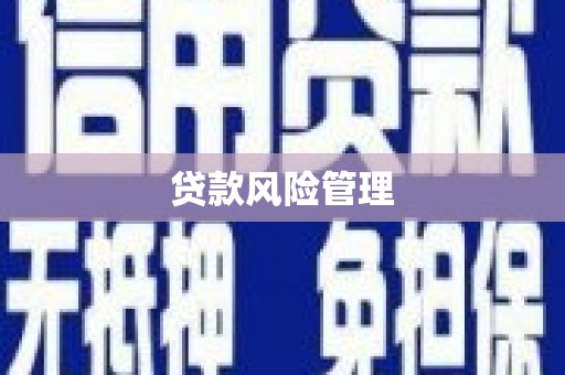 从化贷款风险管理