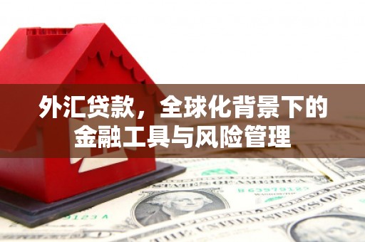 从化外汇贷款，全球化背景下的金融工具与风险管理